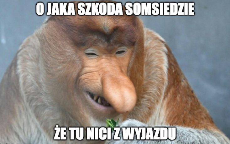 Zrzut ekranu 2022-01-19 o 18.37.22.png