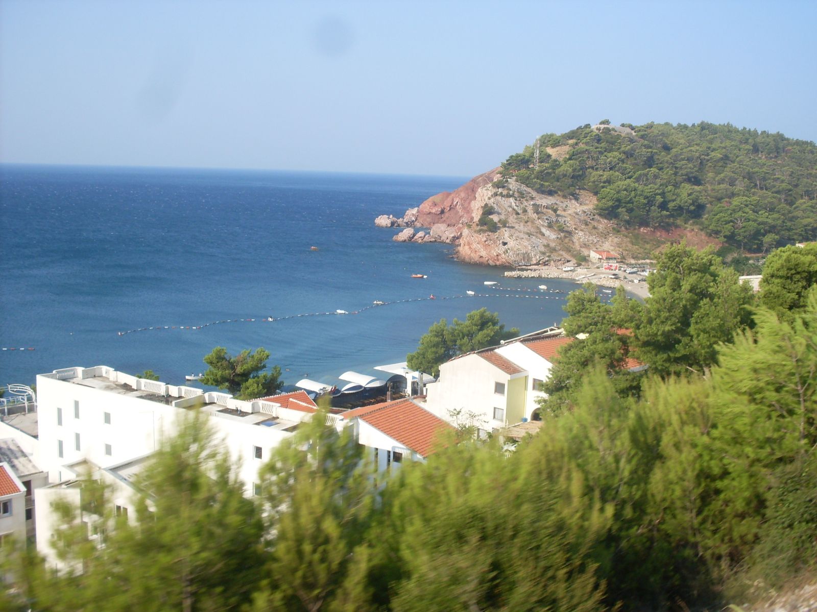 SDC10144.JPG