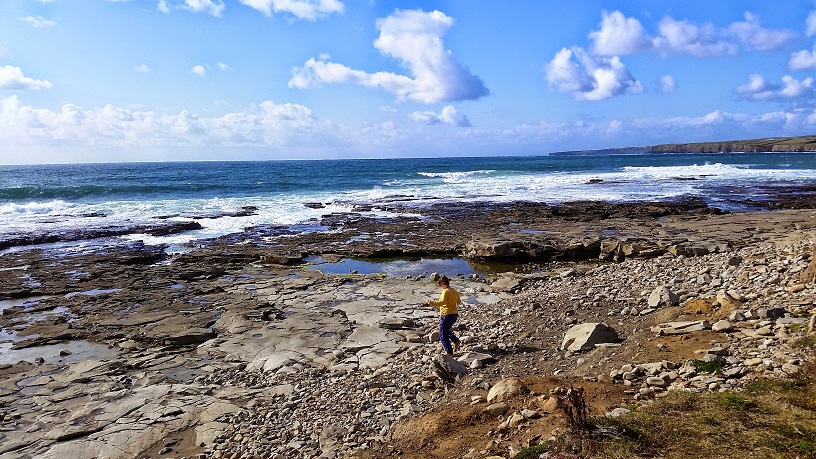 20141004_134308.jpg