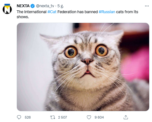 cats.png
