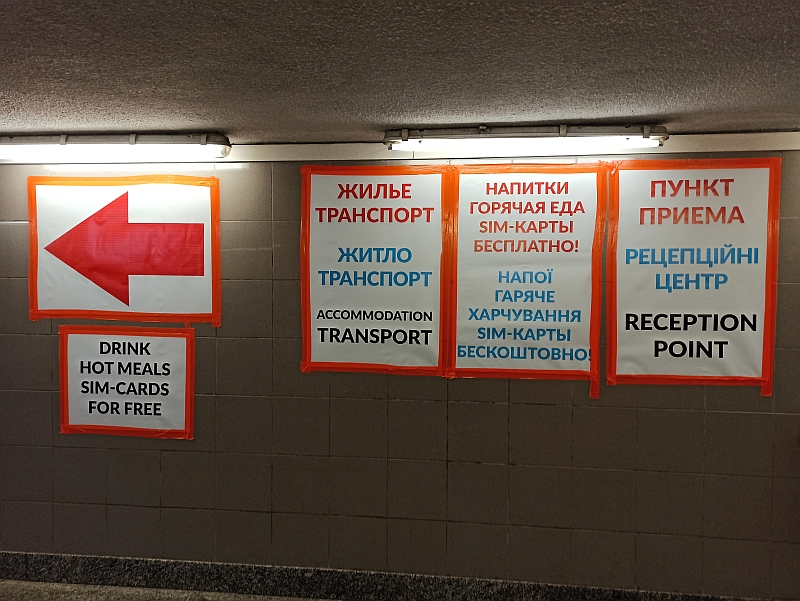 foto15.jpg