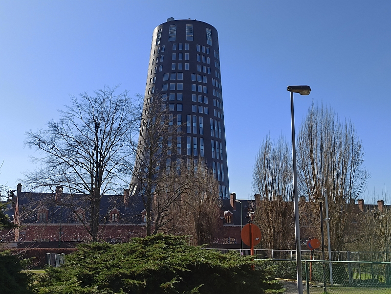 49.jpg
