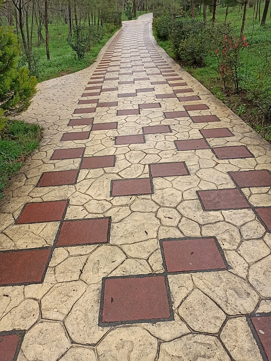 foto67.jpg