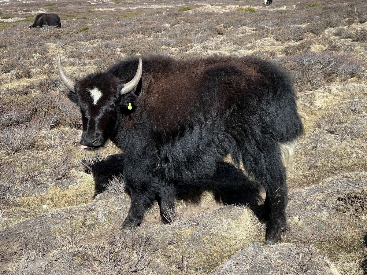 image091.jpg
