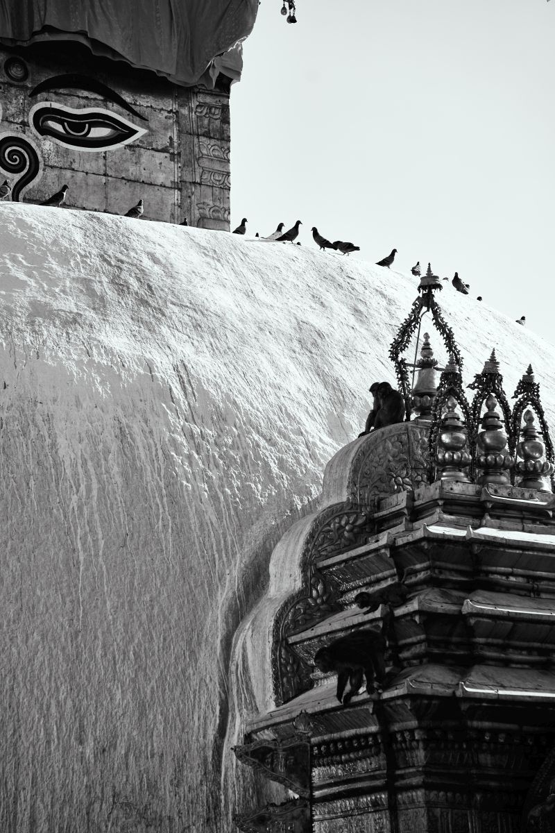 Nepal_2022_392.jpg