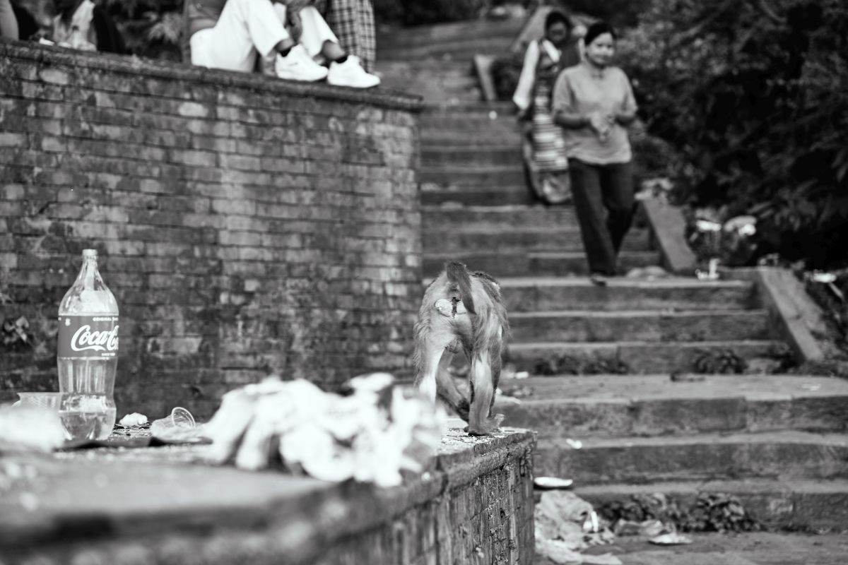 Nepal_2022_410.jpg