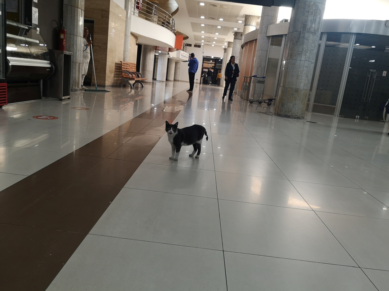 greeter.jpg
