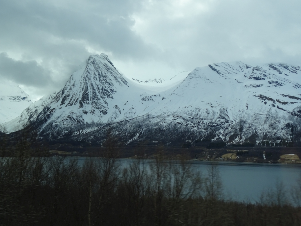 DSC02576.JPG