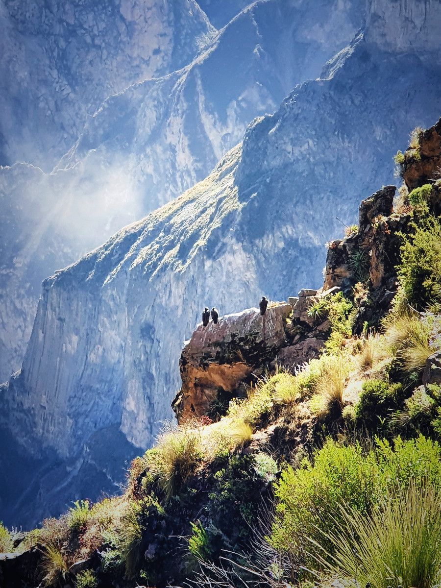 dzien4-colca-cruzdelcondor.jpg