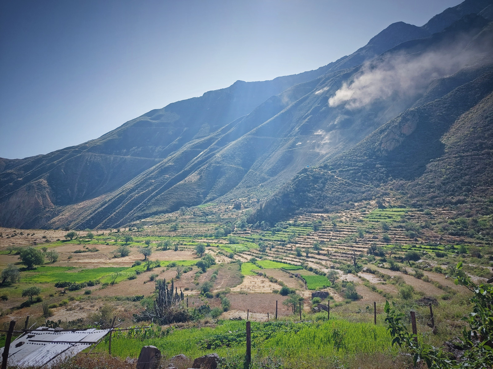 dzien4-colca-kanon3.jpg