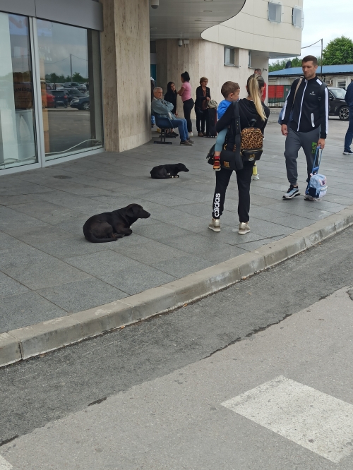 foto09.jpg