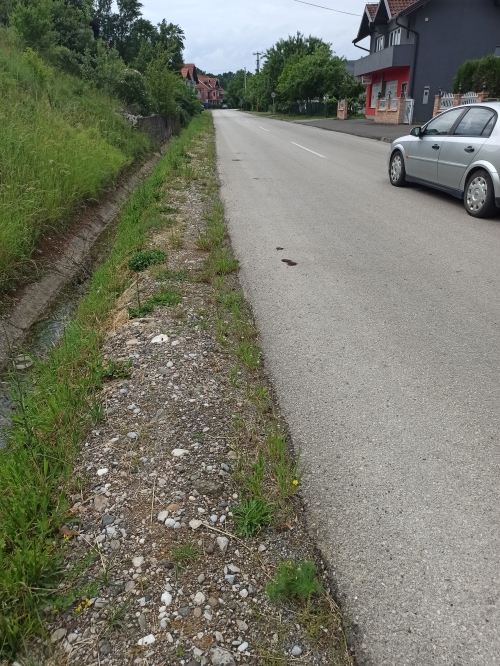 foto12.jpg