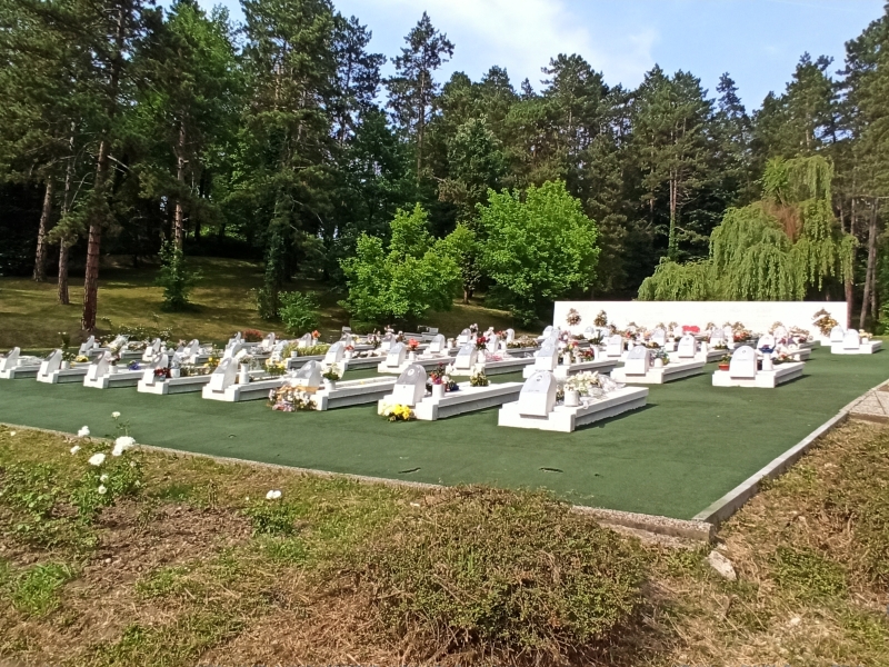 foto48.jpg
