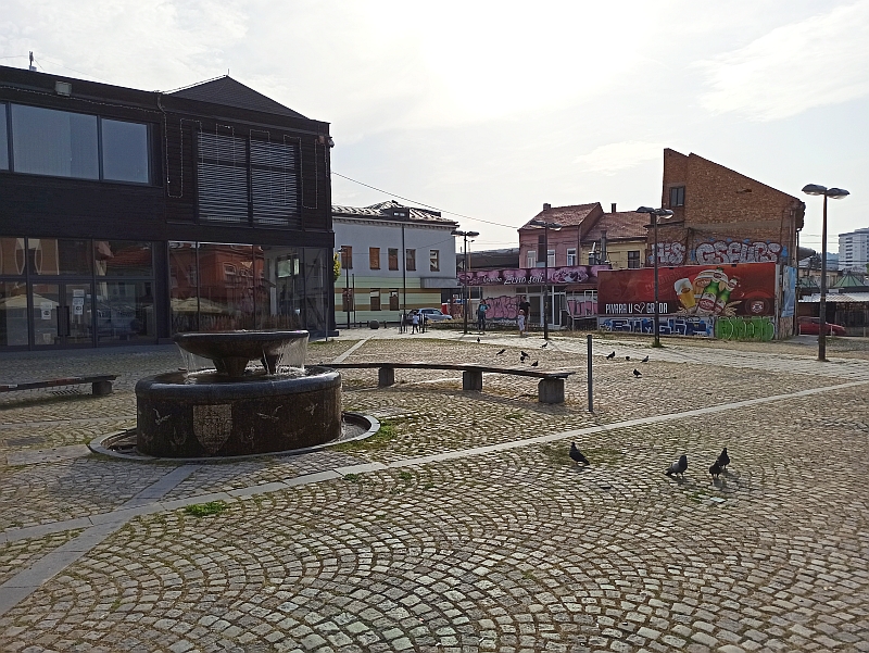 foto58.jpg