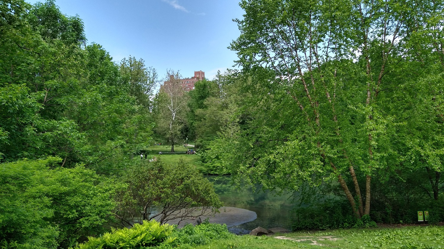 IMG_20220522_182049822_HDR.jpg