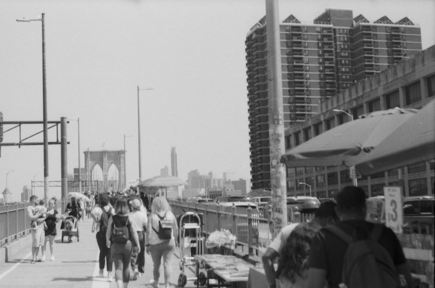 Pan100-11-06-22-18.jpg