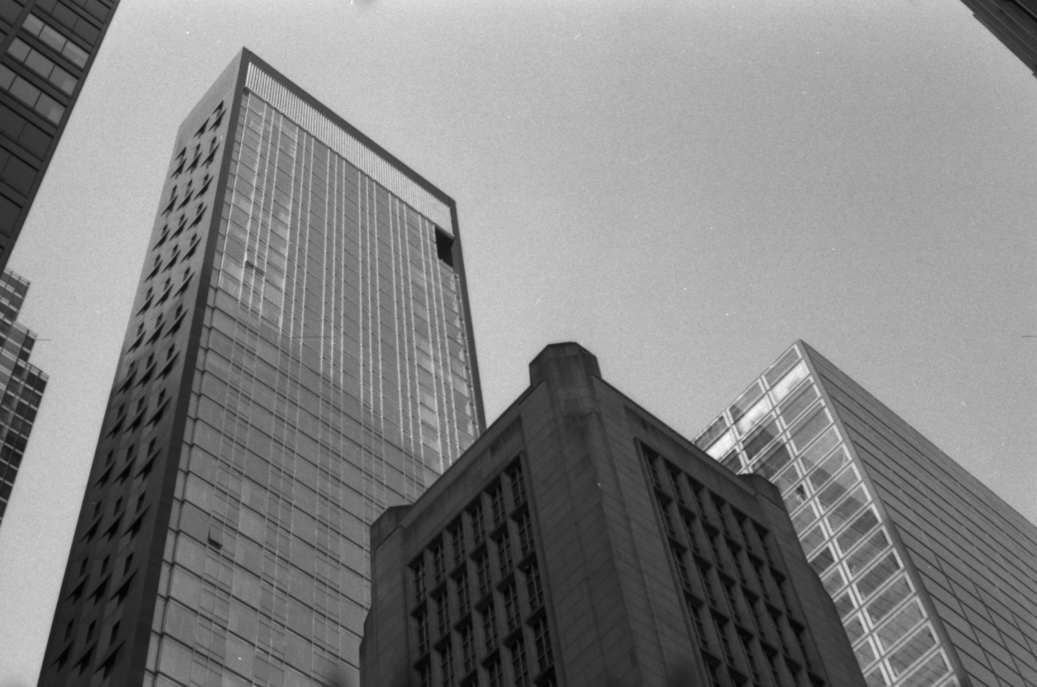 Pan100-11-06-22-20.jpg