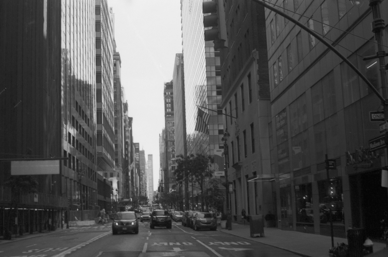 Pan100-11-06-22-21.jpg