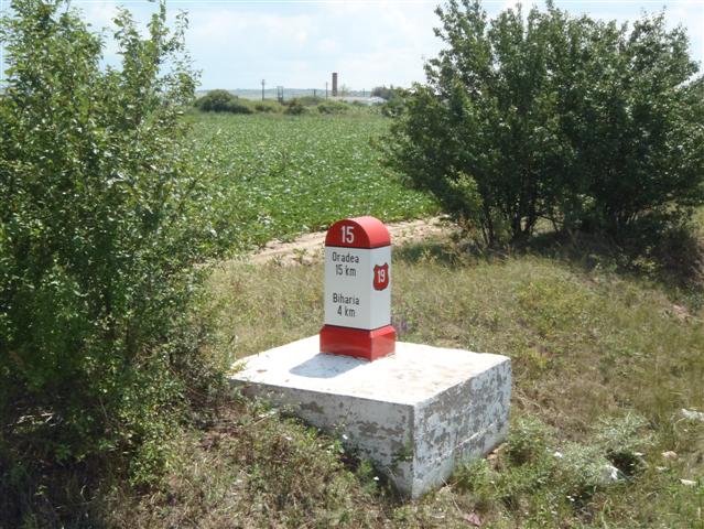7_1 (Small).JPG