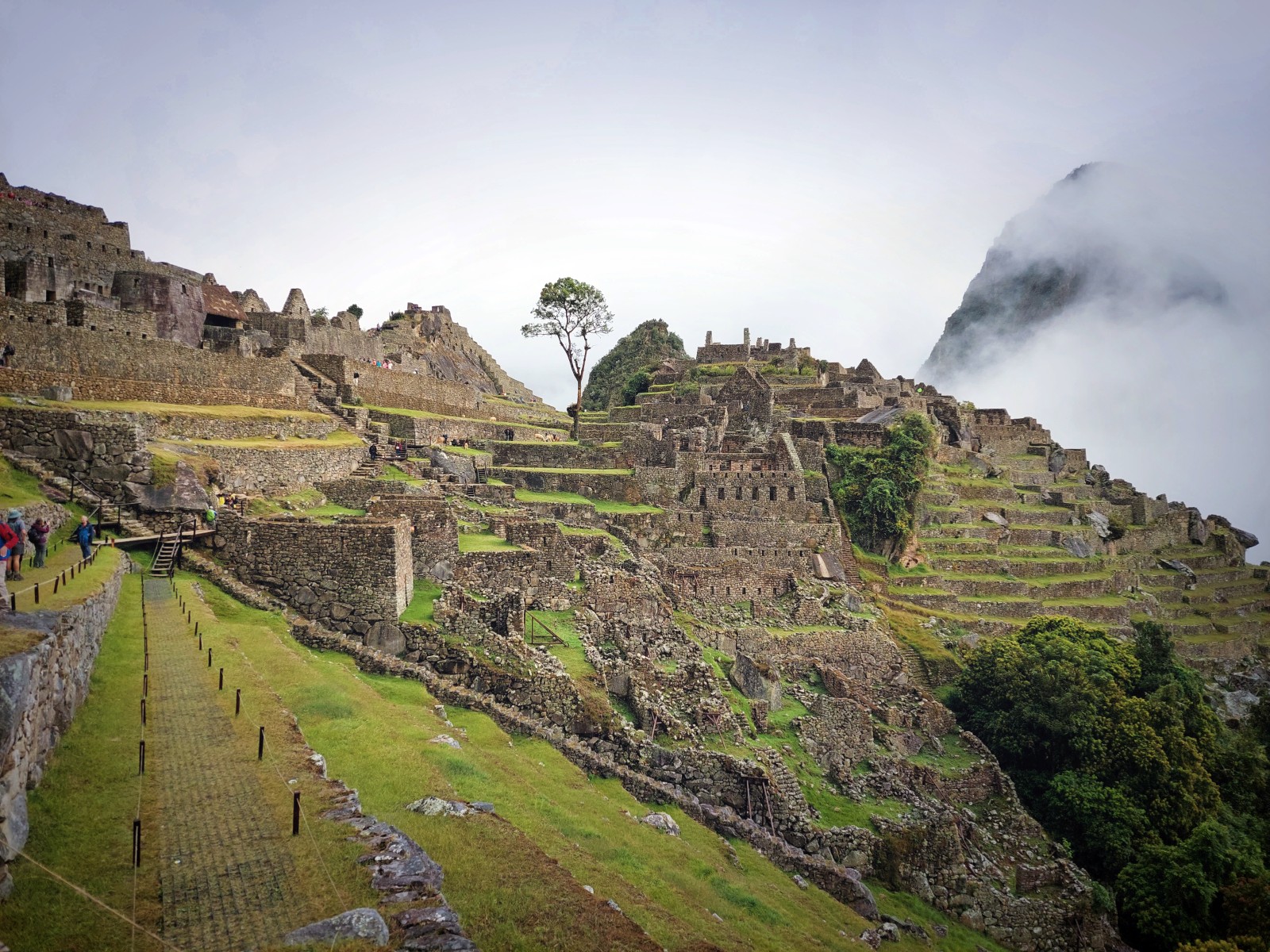 dzien10-machupicchu-koncowkatrasy.jpg