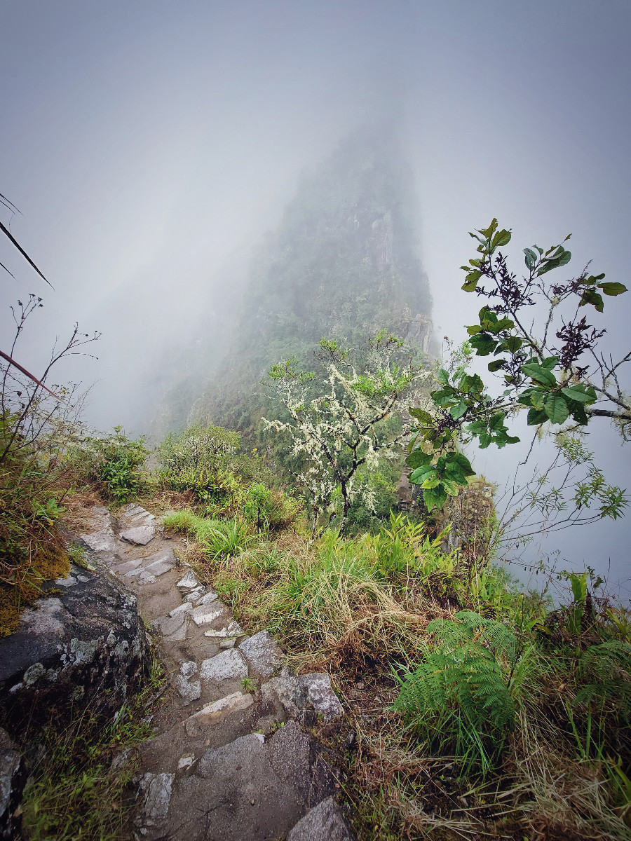dzien10-machupicchu-poczatekszlakuwayna.jpg
