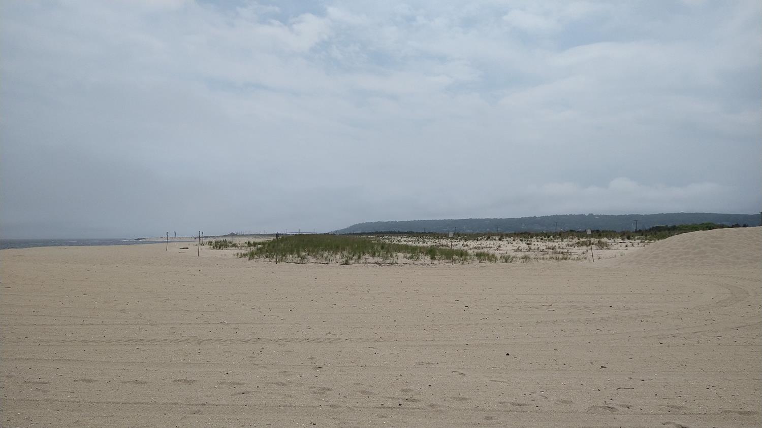 IMG_20220603_133811089 (Copy).jpg