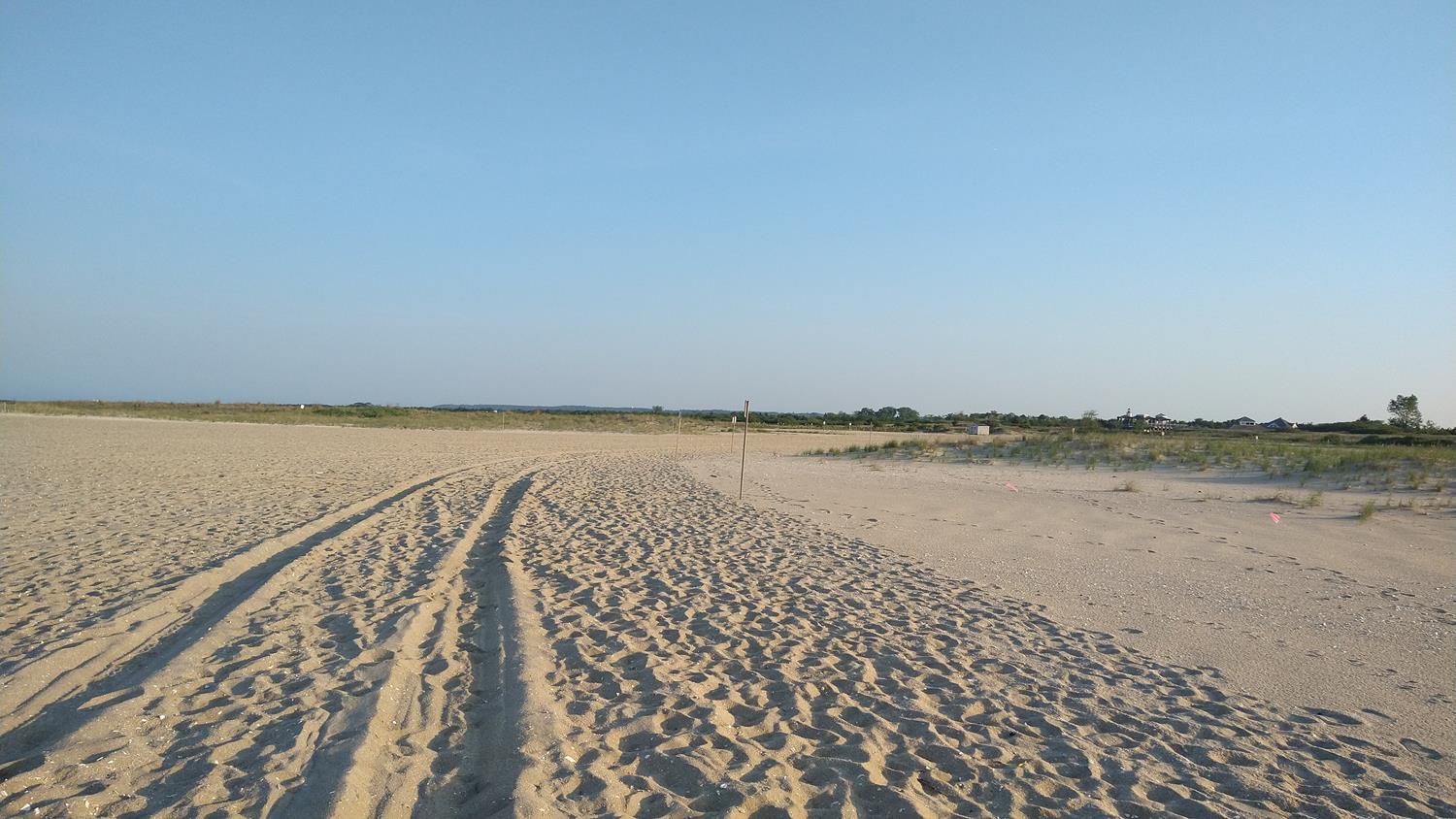 IMG_20220530_191040770 (Copy).jpg