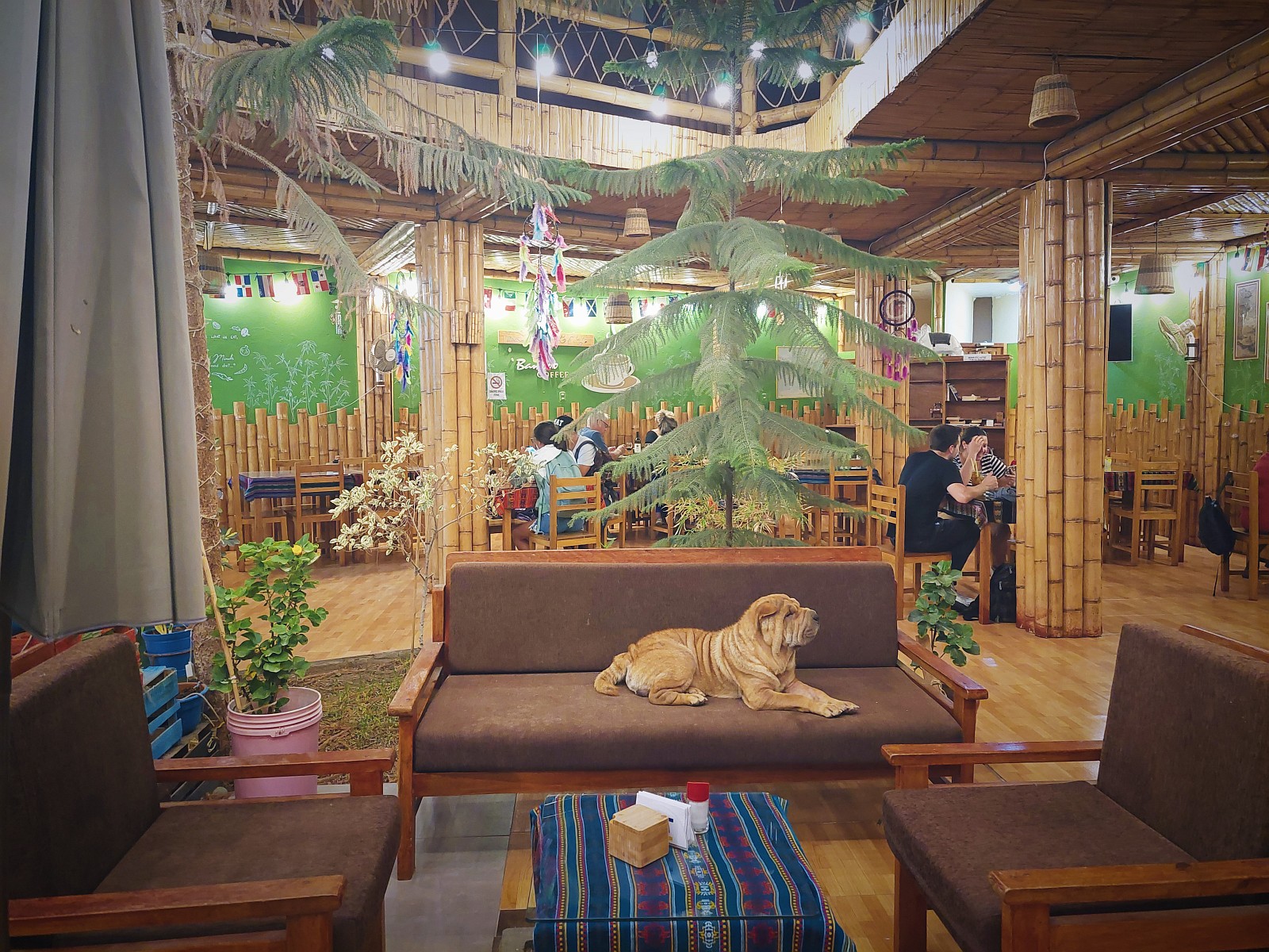 dzien13-huacachina-palacebamboo.jpg