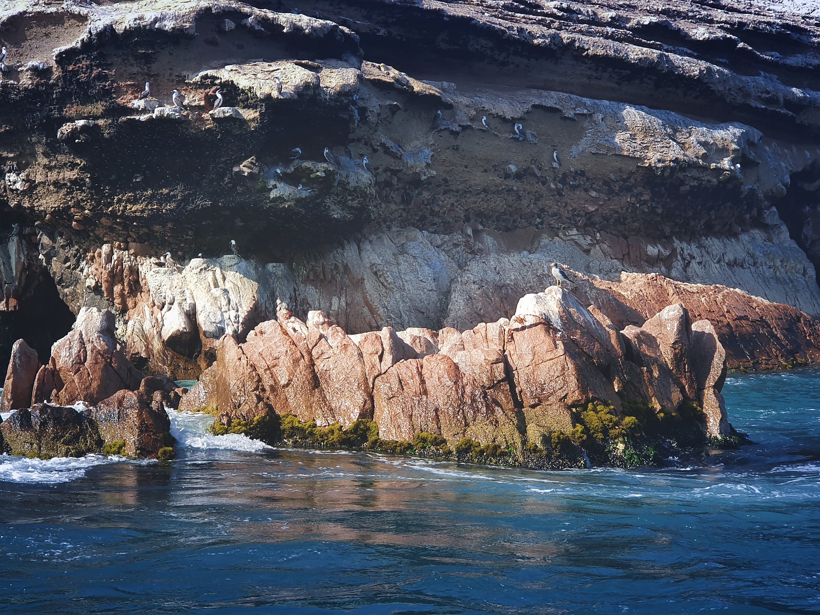 dzien13-paracas-islablanca-2.jpg