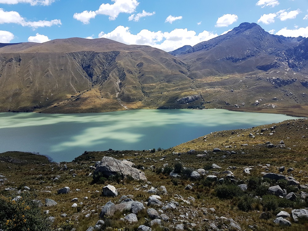 20220609_115231.jpg