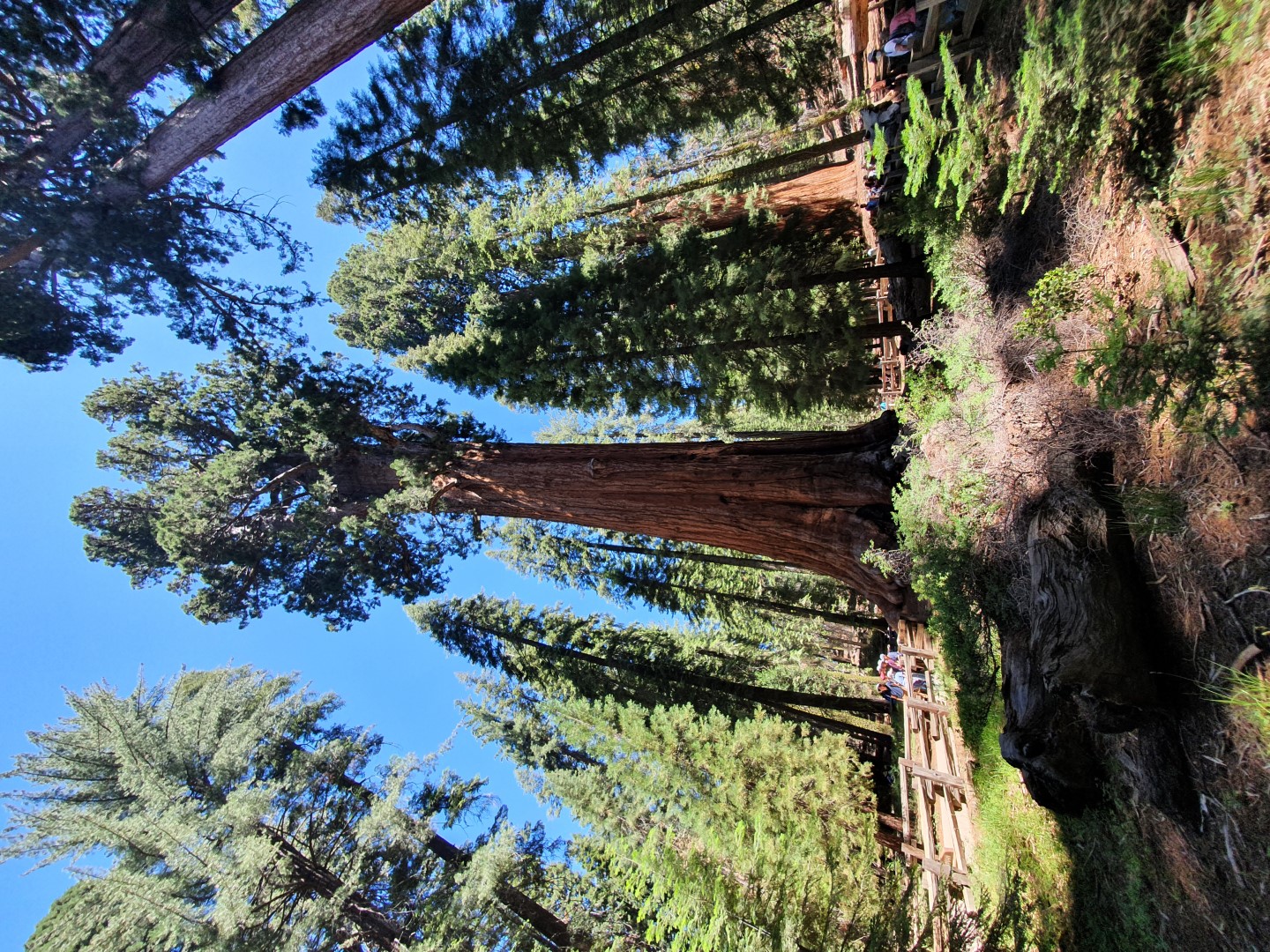 20220702_205231.jpg