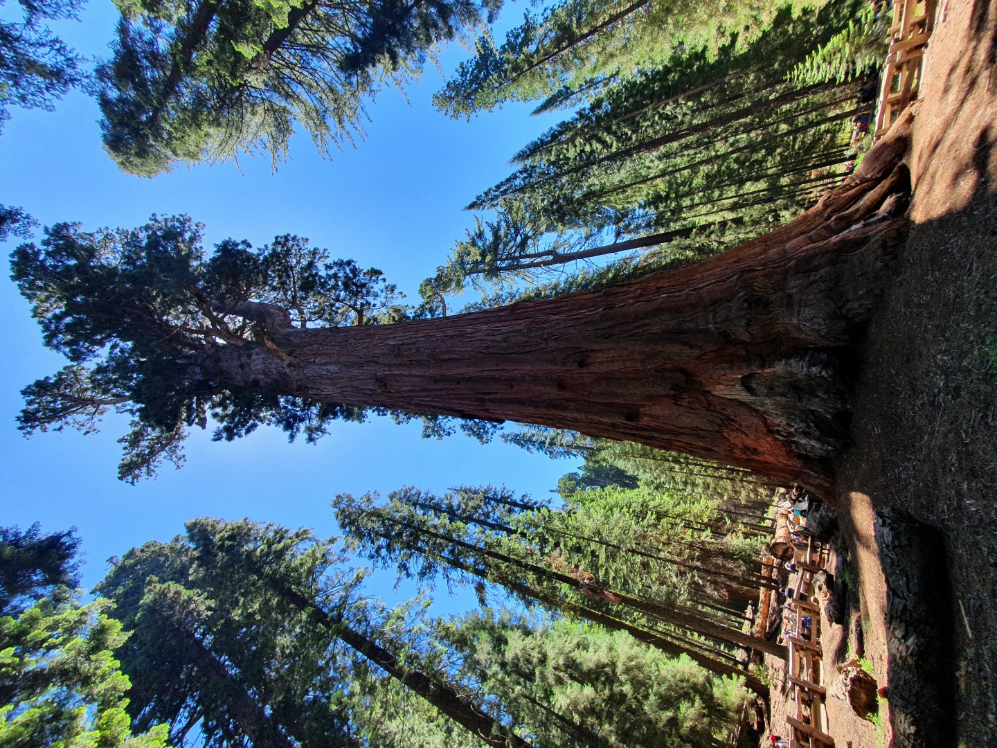 20220702_205536.jpg