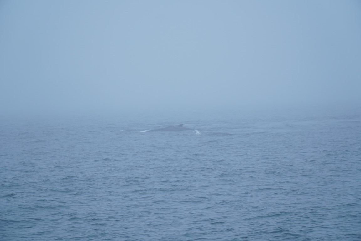 DSC00242.JPG