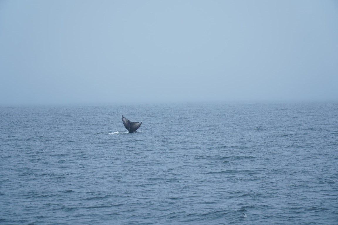 DSC00303.JPG
