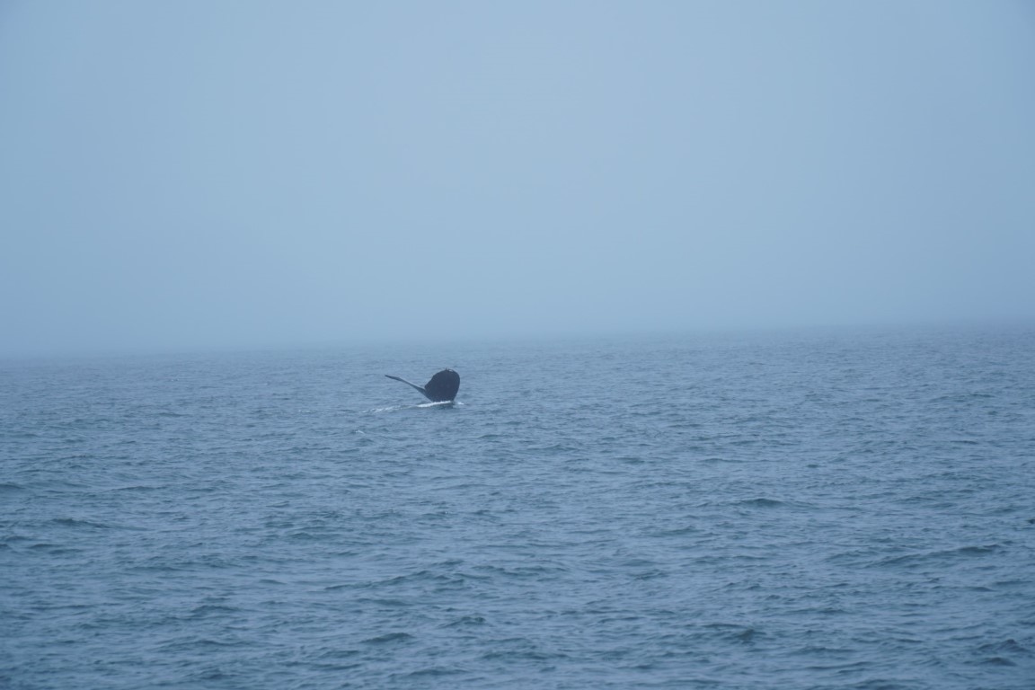 DSC00323.JPG
