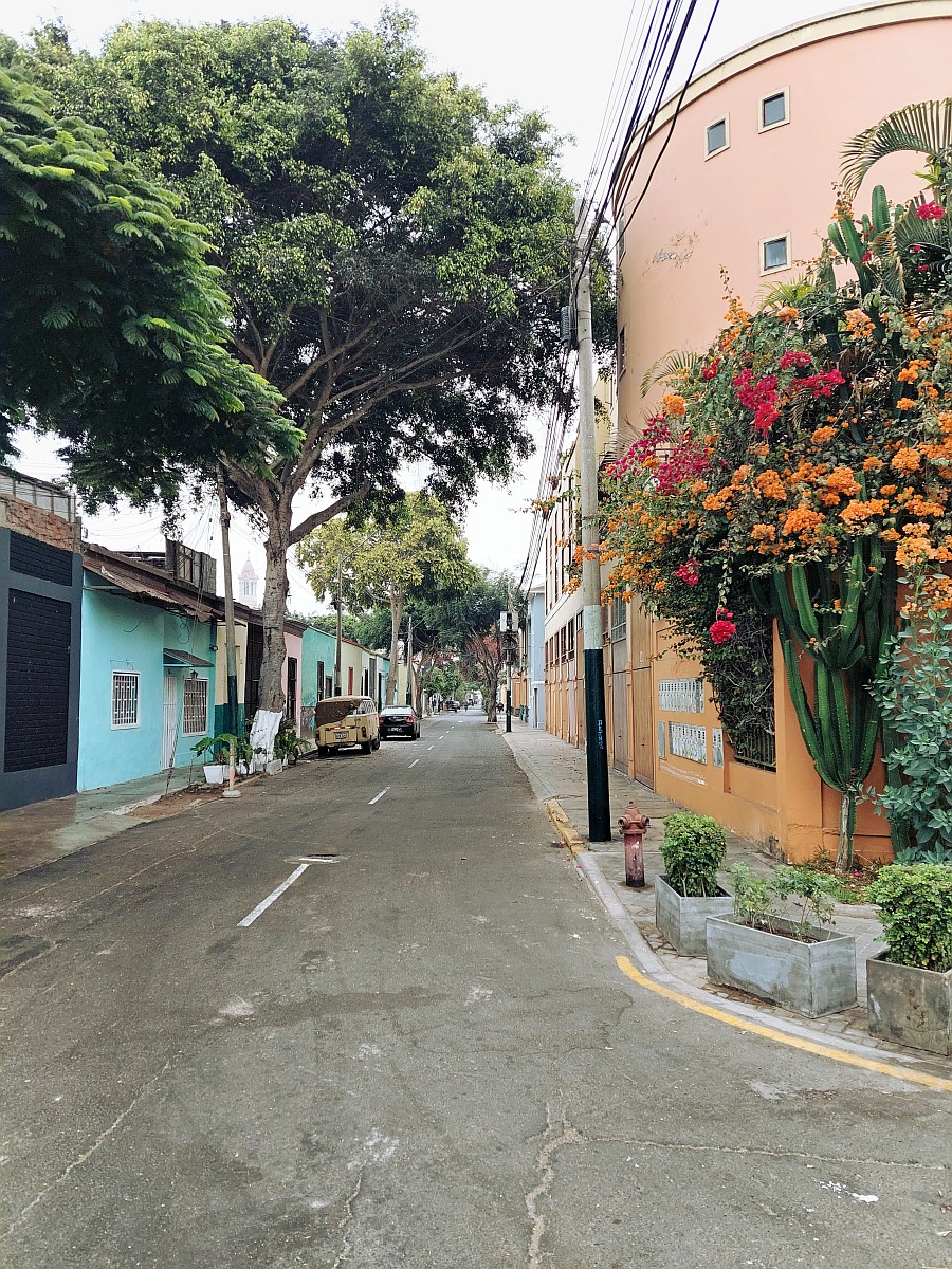 dzien15-barranco.jpg