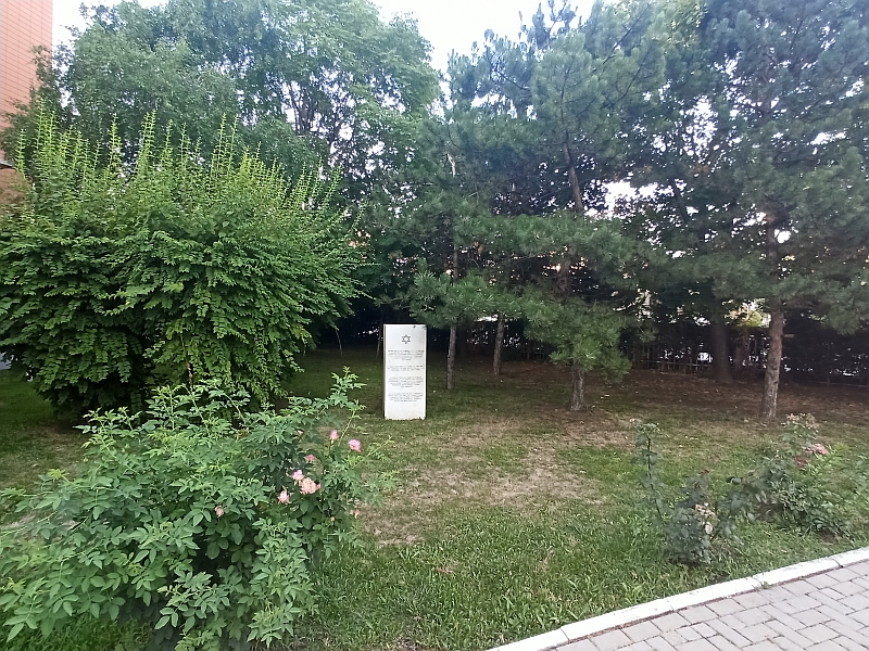 44.jpg