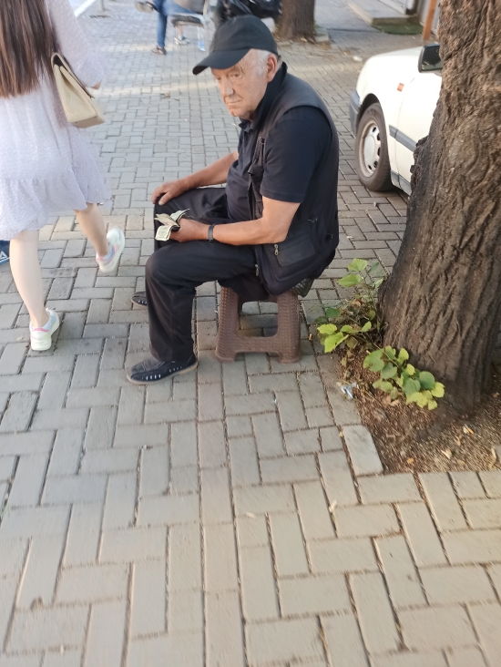 86.jpg