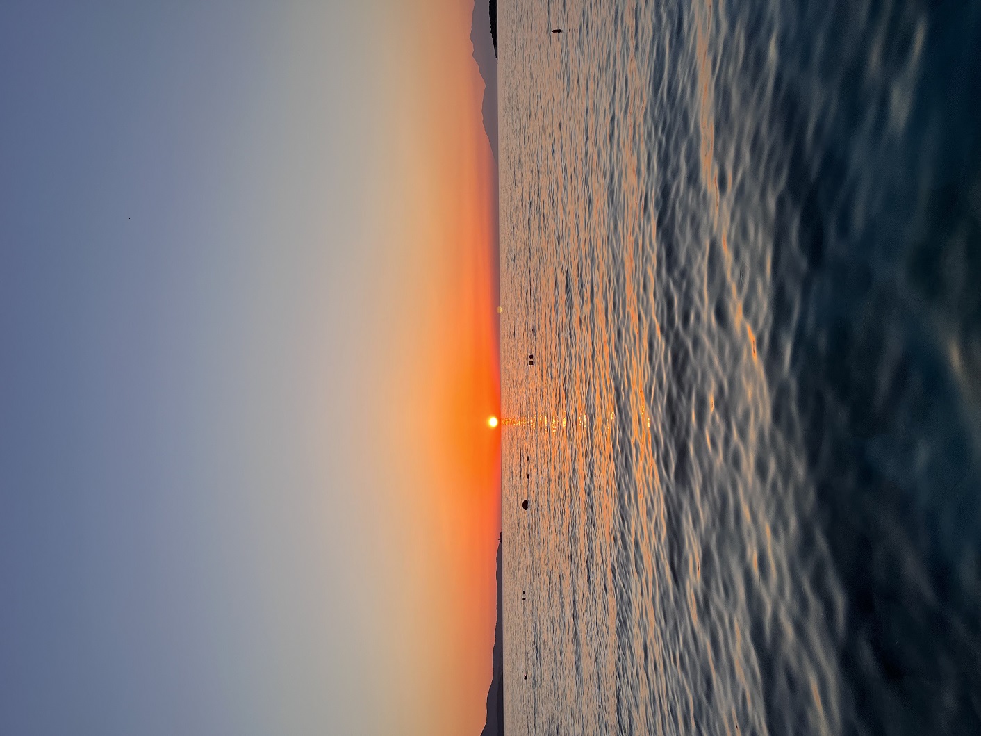IMG_1038.jpg