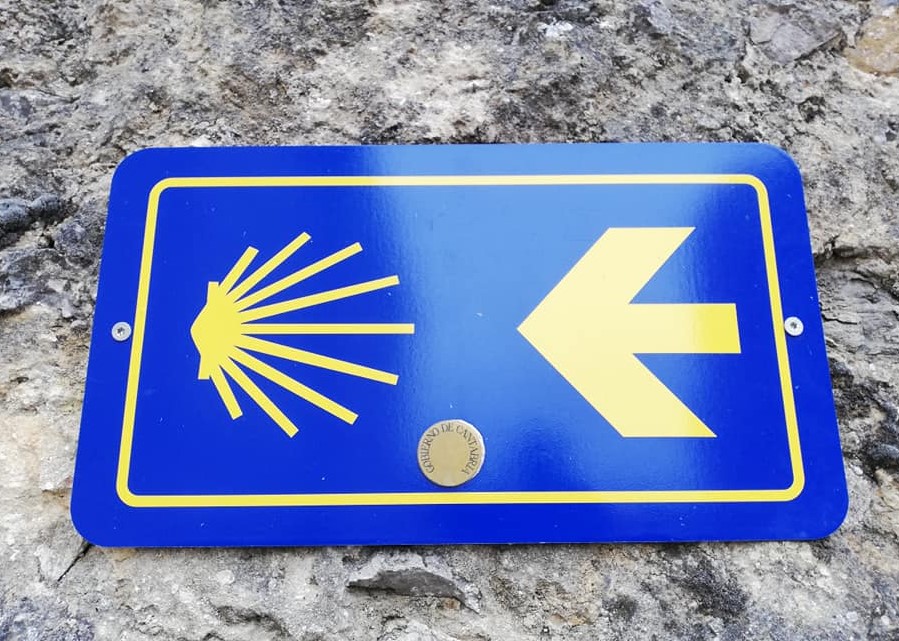camino2.jpg
