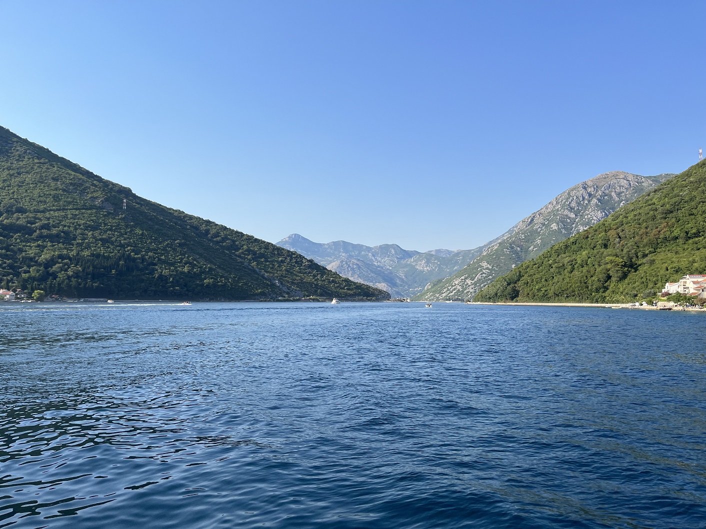 IMG_1274.jpg