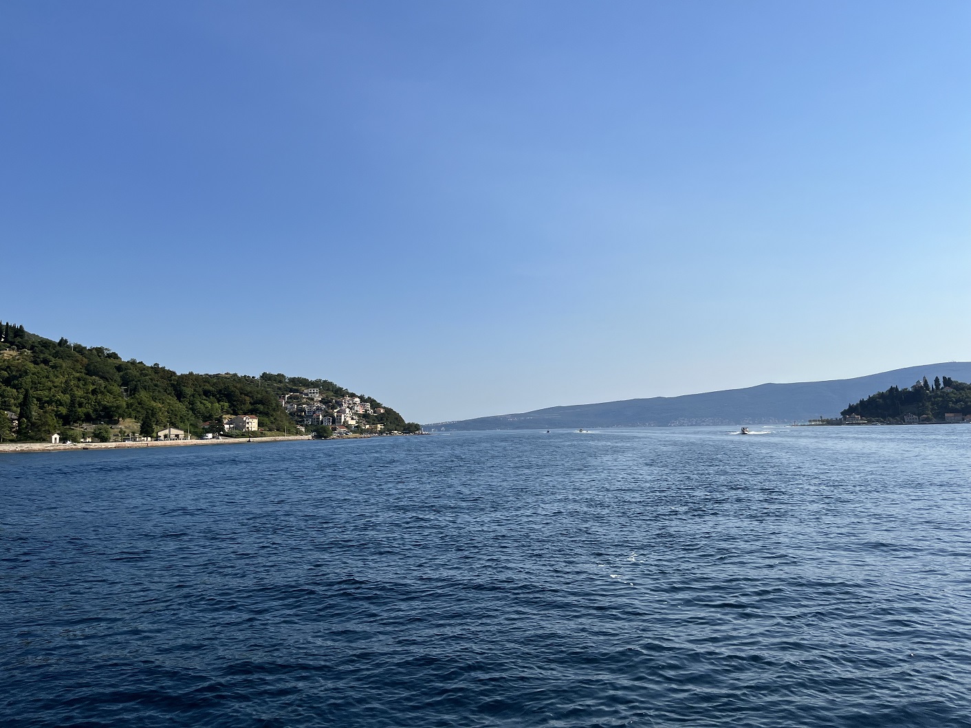 IMG_1277.jpg