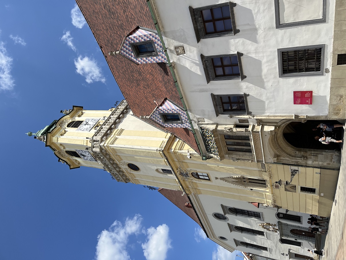 IMG_1387.jpg