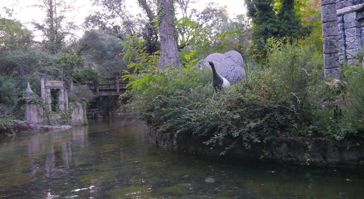 Jungle.jpg