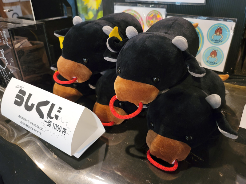 stuffed cowsx800.jpg