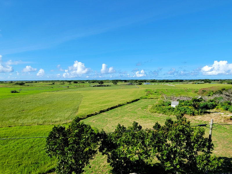 kuroshima-view1x800.jpg