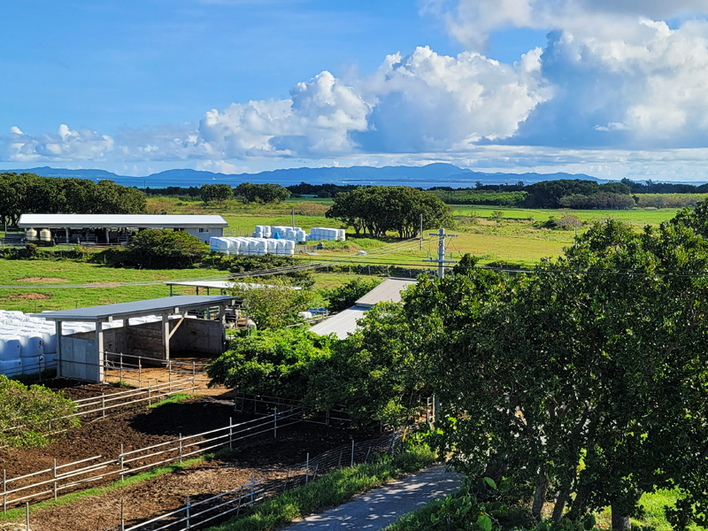 kuroshima-view3x800.jpg