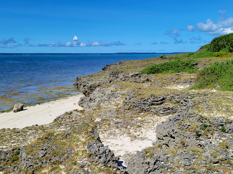 view-near-lighthousex800.jpg
