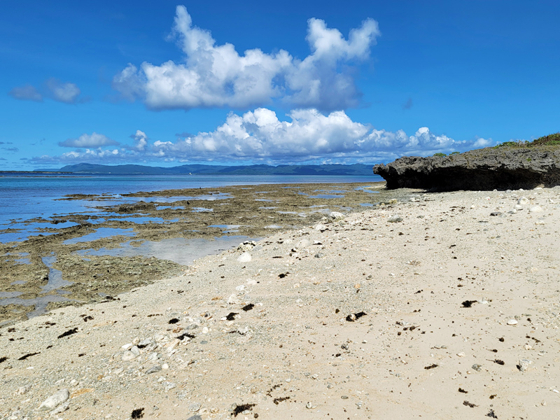nakamoto-beach2x800.jpg