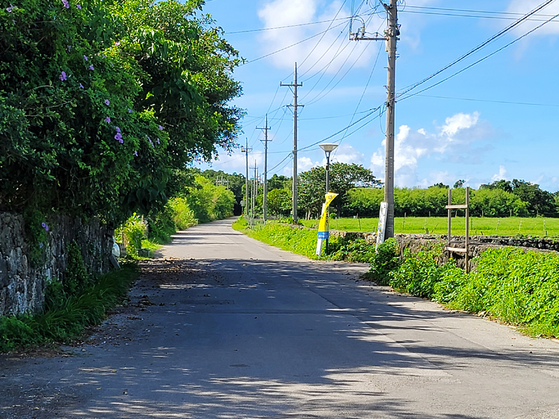 kuroshima-street2x800.jpg